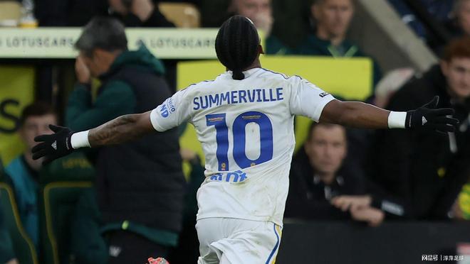 斯旺西城客场失利,积分榜下滑的简单介绍 斯旺西城客场失利,积分榜下滑的简单介绍