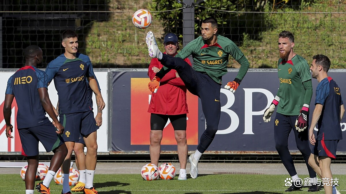 葡萄牙阵容豪华，欧洲杯预选赛备战如火如荼的简单介绍