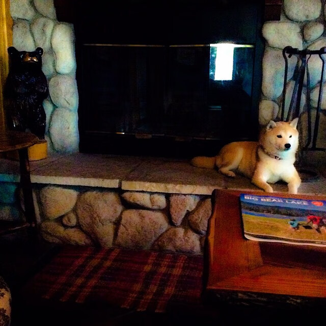 从特卡特到蒂亚戈，唯一性如何定义当代足球的价值坐标系