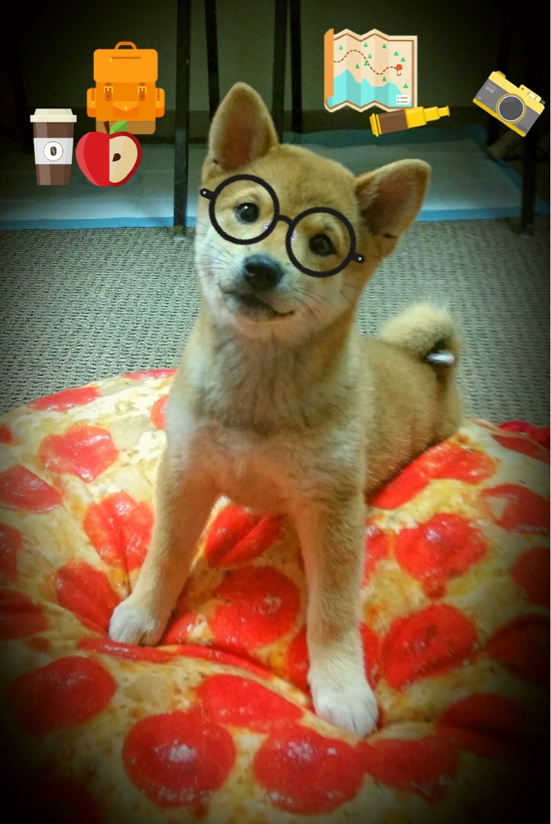 跨境烽火，当墨西哥灵动锋芒遇上多特蒙德钢铁洪流，德布劳内的手术刀何以切割比赛？