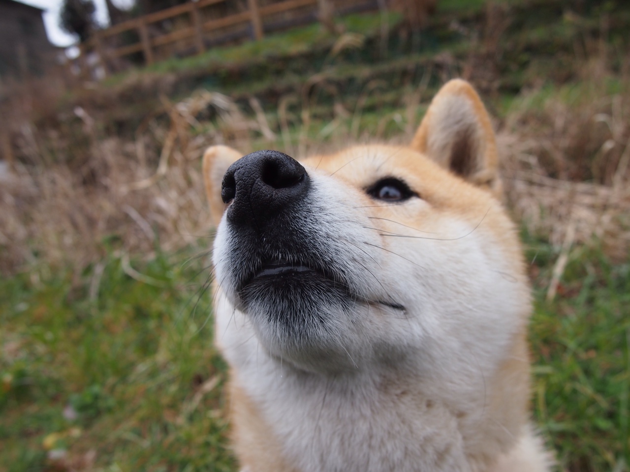 雷火电竞简介-时空错位的对决？当勇士勇三疯遇上字母哥关键先生