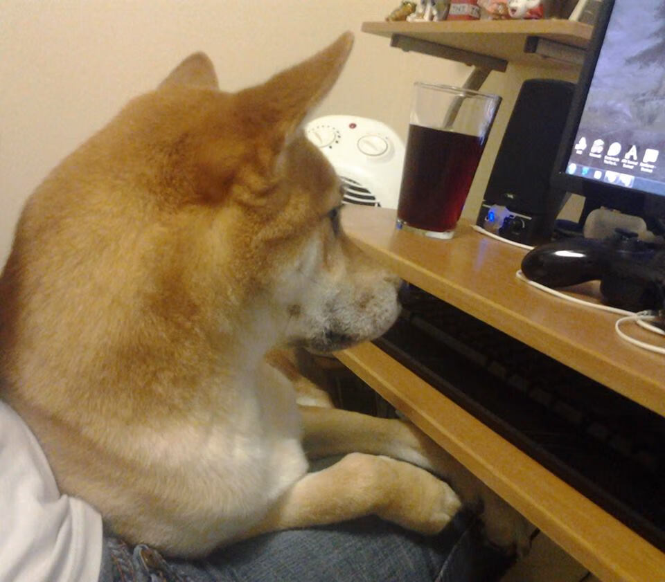 从饮水机守护神到一夜封神，当马克西让整个CBA重新念他的名字