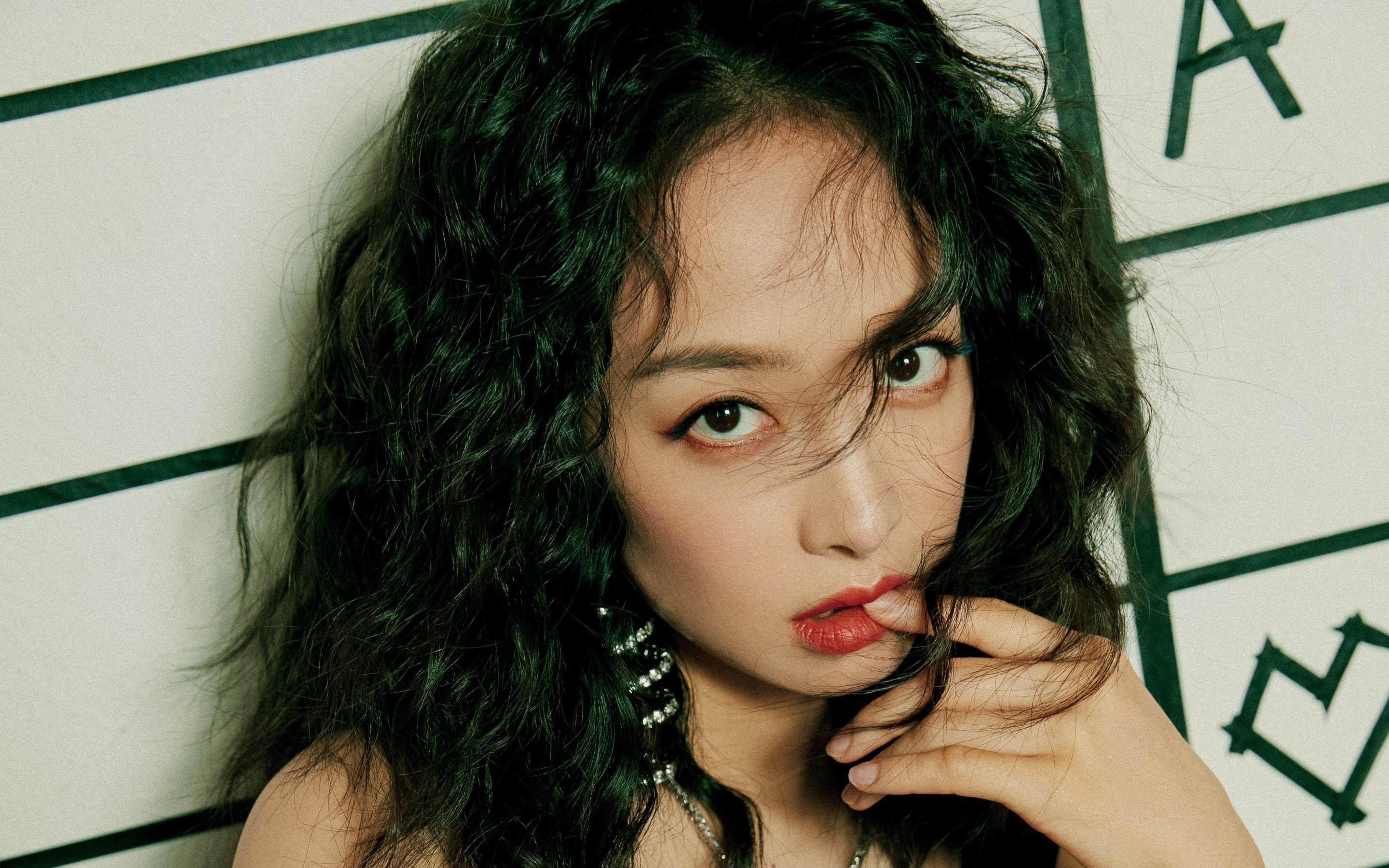 数据之刃与全能之盾，霍勒迪的独奏，刺穿浙江队的交响