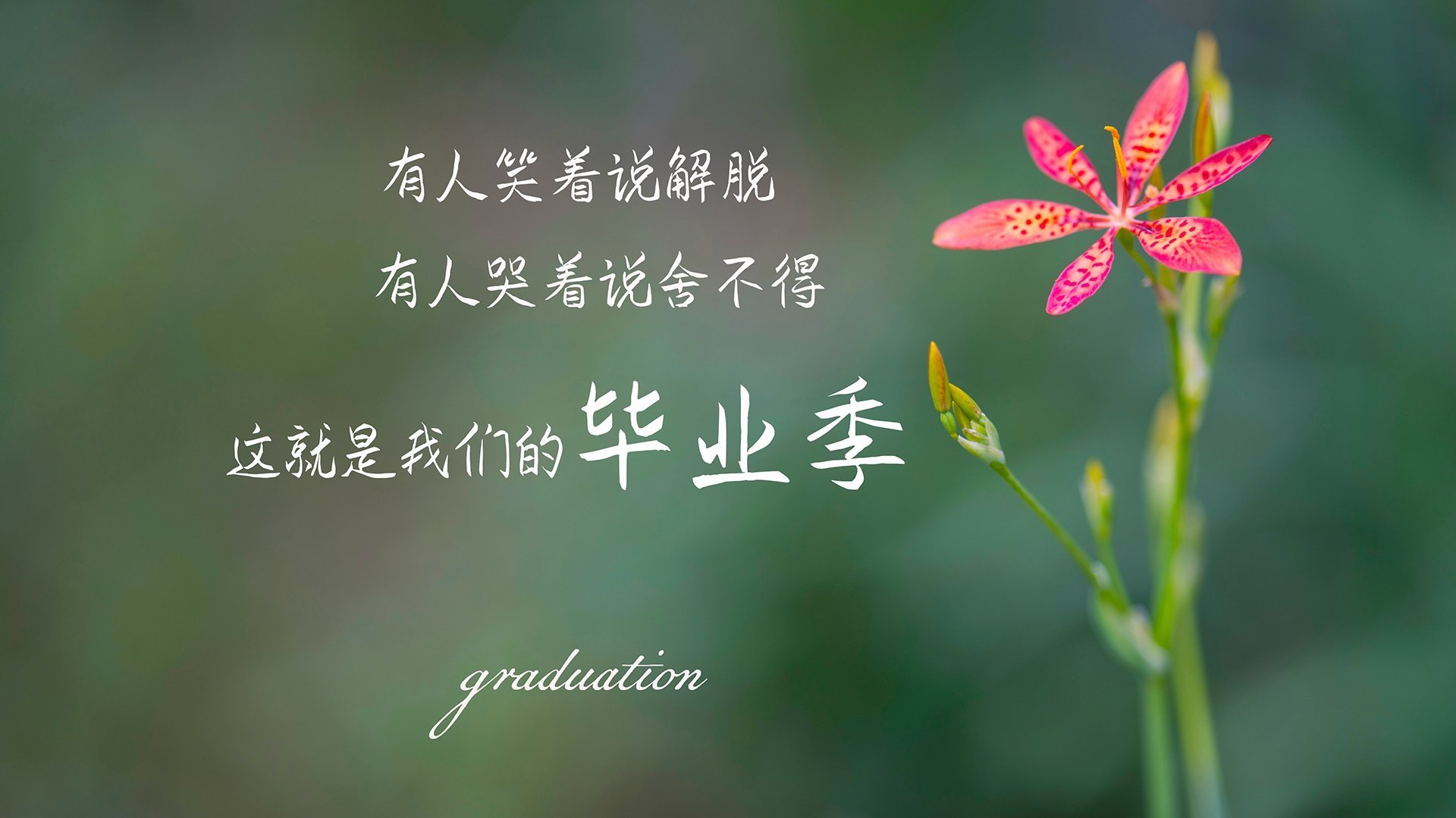 极速逆转,F1中国站年度争冠焦点战,上海队绝地反击力克开拓者